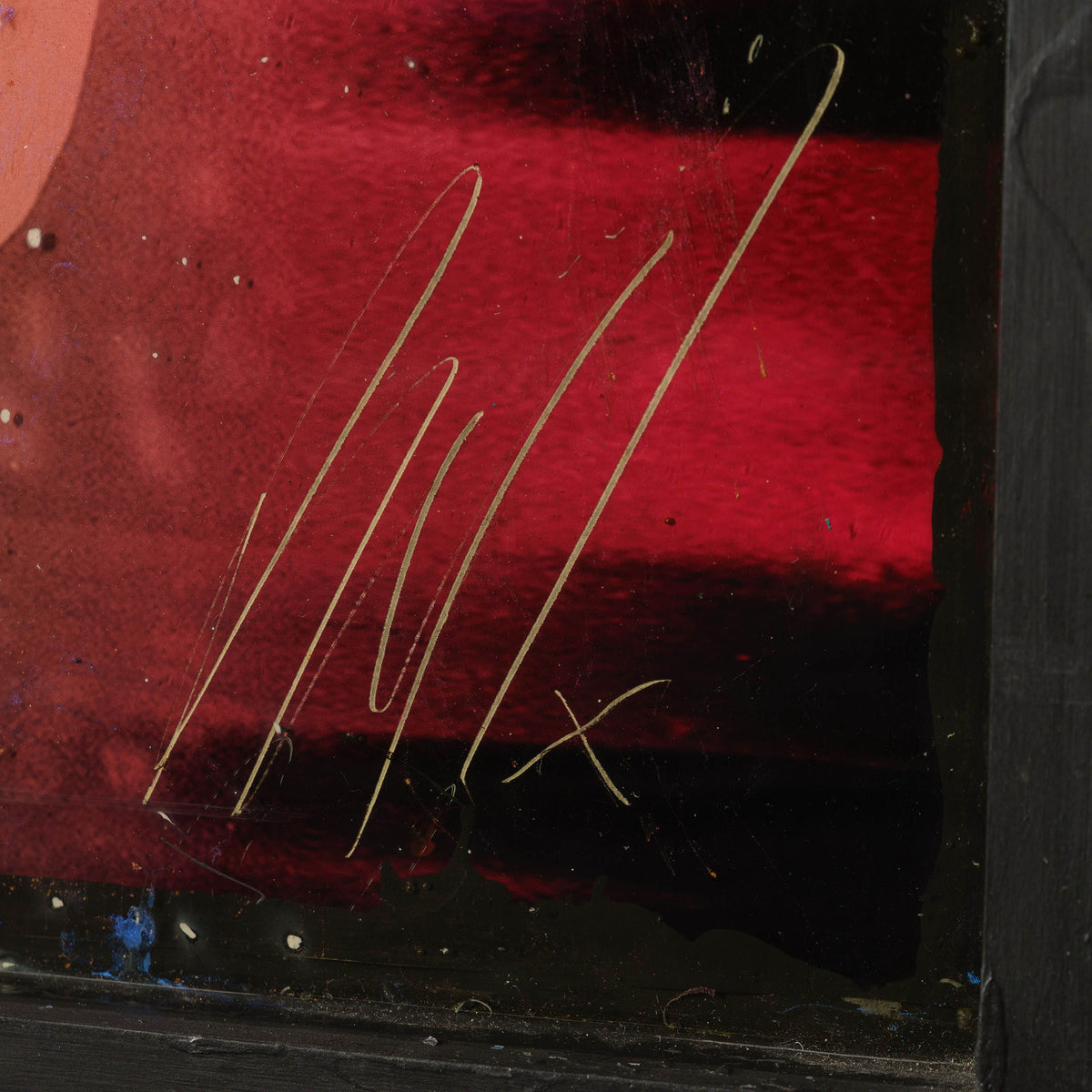 MAZ ORI POR 08607 5 Jellyfish 