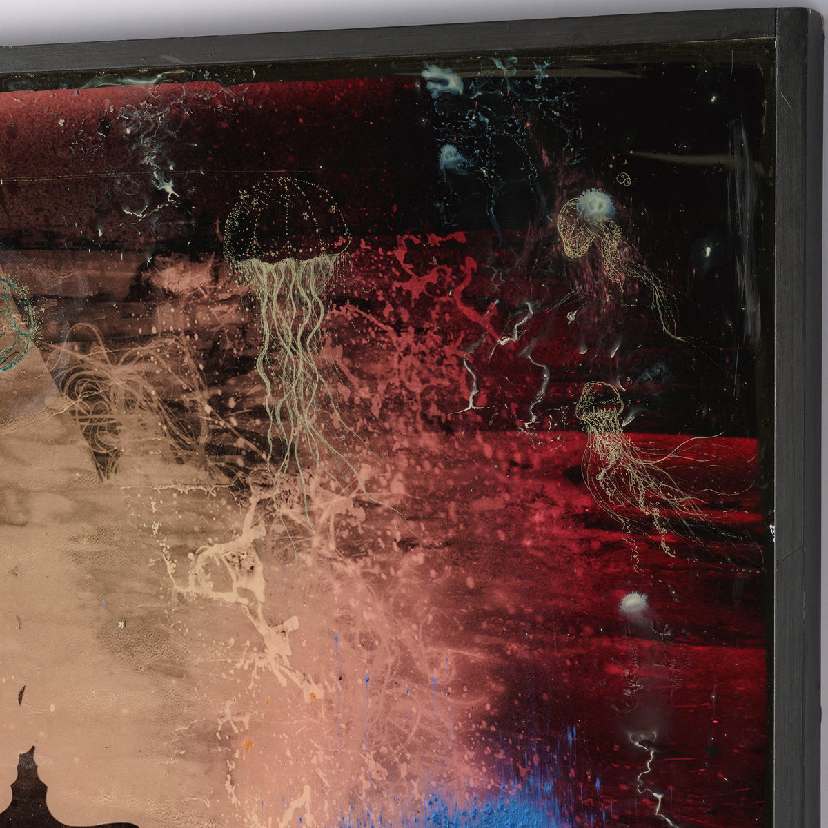 MAZ ORI POR 08607 7 Jellyfish 