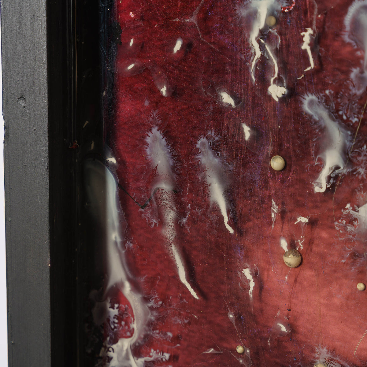 MAZ ORI POR 08607 8 Jellyfish 