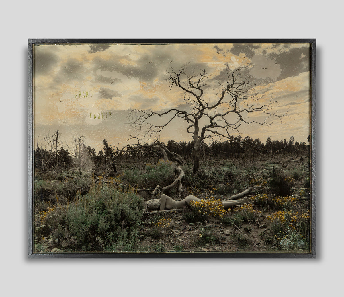 MAZ ORI POR 14235 1 Grand Canyon 1 