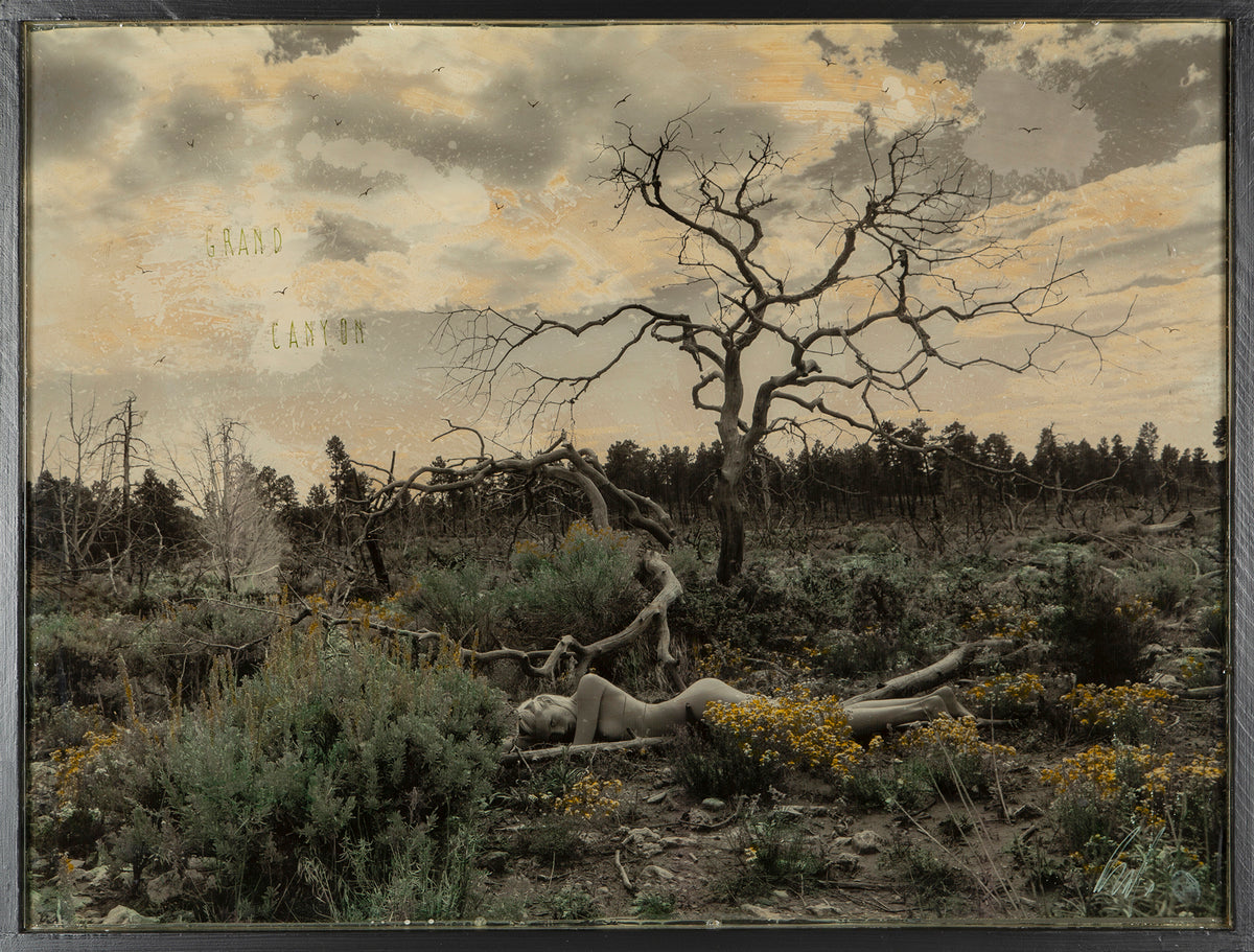 MAZ ORI POR 14235 4 Grand Canyon 1 