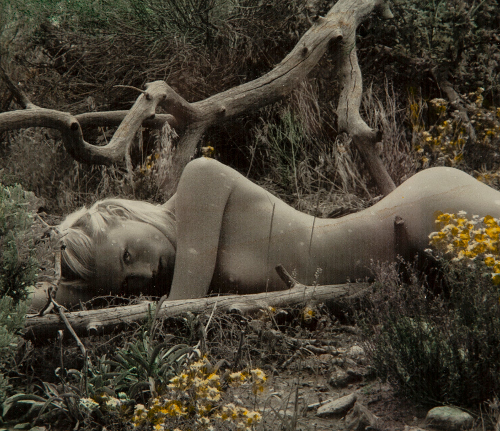 MAZ ORI POR 14235 5 Grand Canyon 1 