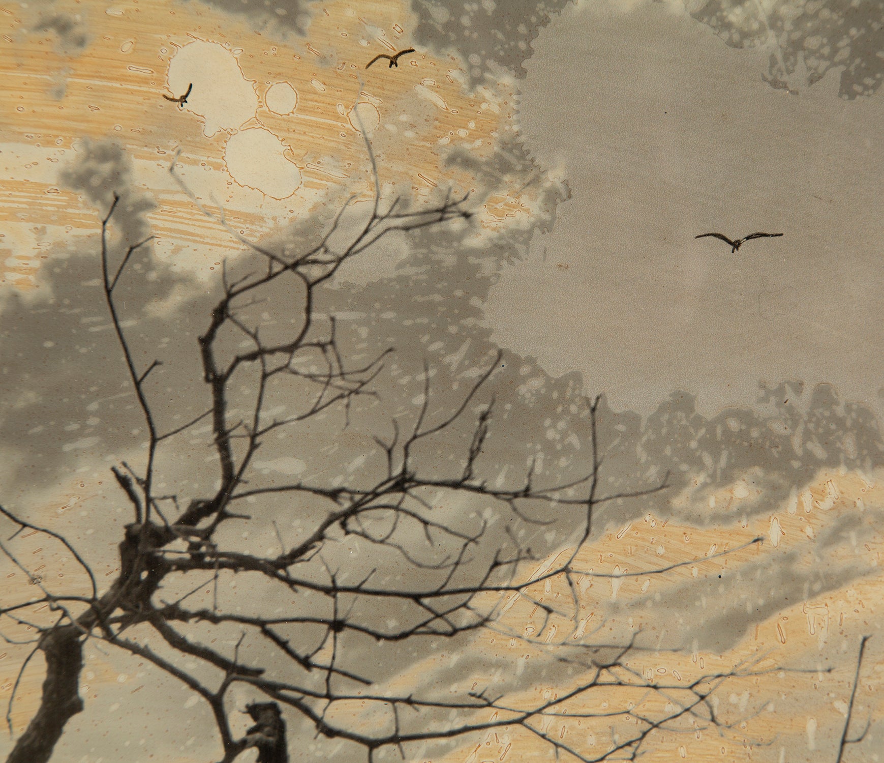 MAZ ORI POR 14235 7 Grand Canyon 1 