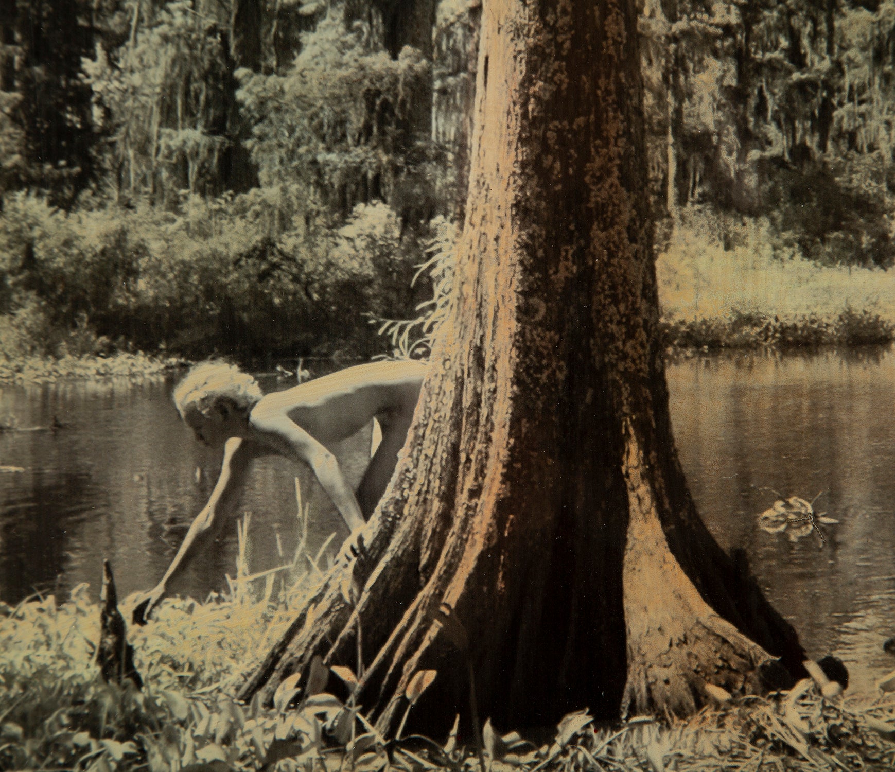 MAZ ORI POR 14243 3 Louisianna 