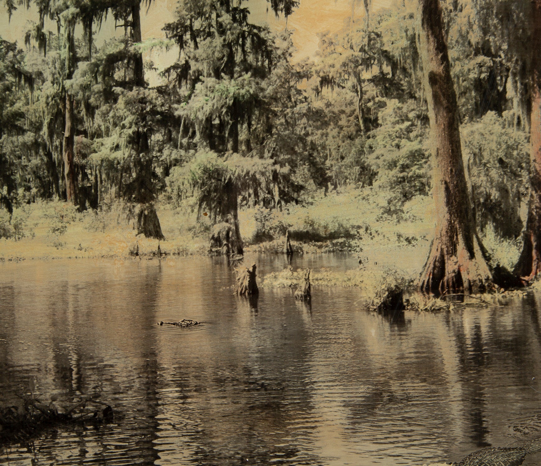 MAZ ORI POR 14243 4 Louisianna 