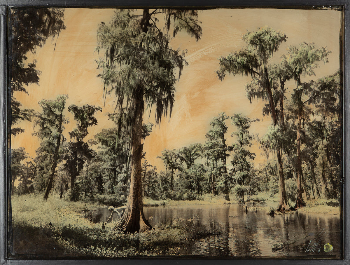 MAZ ORI POR 14243 6 Louisianna 