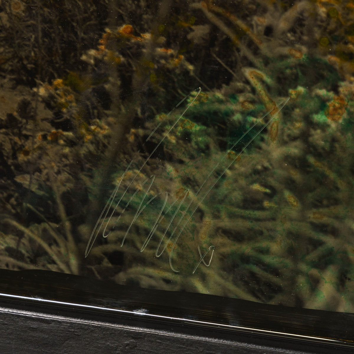 MAZ ORI POR 14246 5 Love At Dusk 