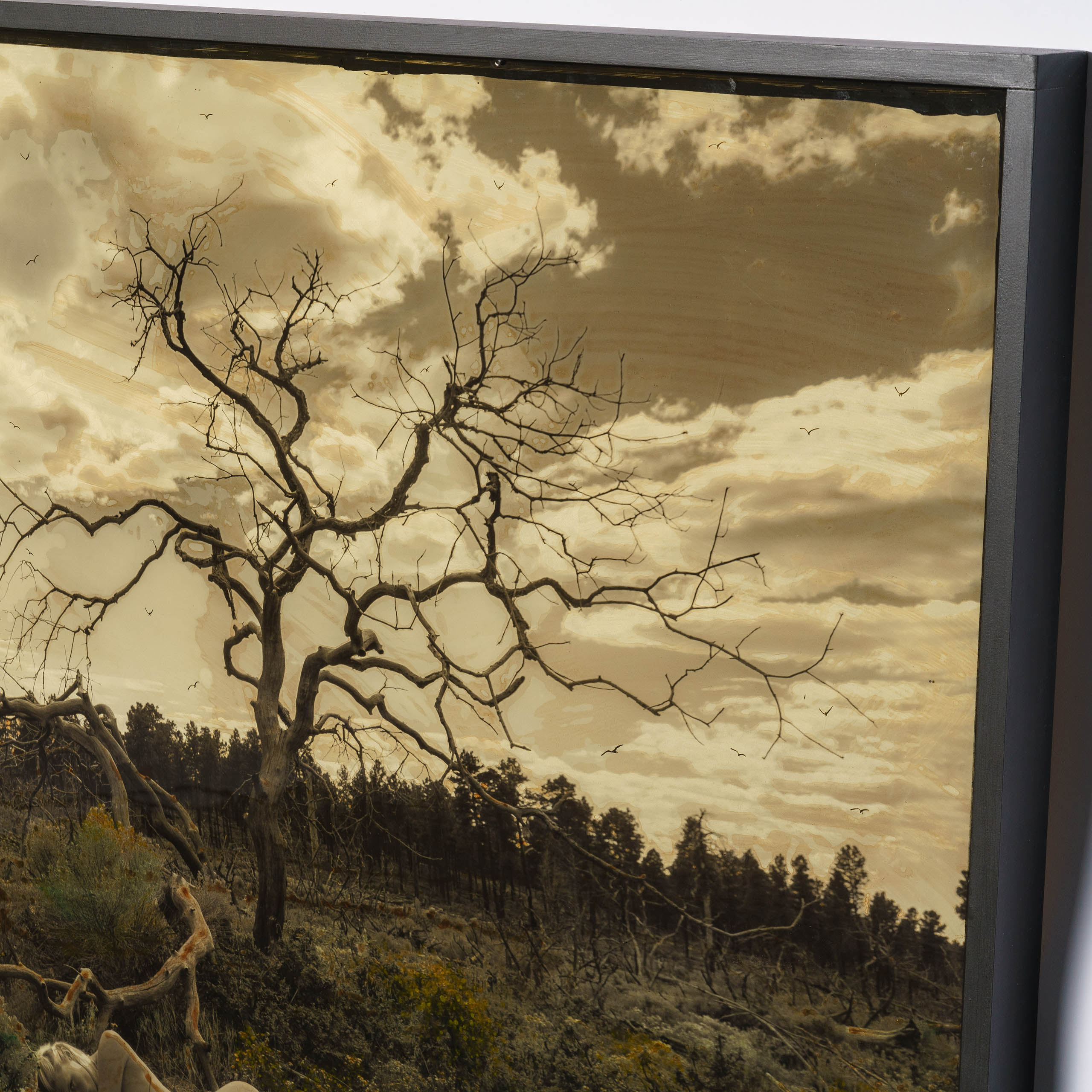 MAZ ORI POR 14246 7 Love At Dusk 