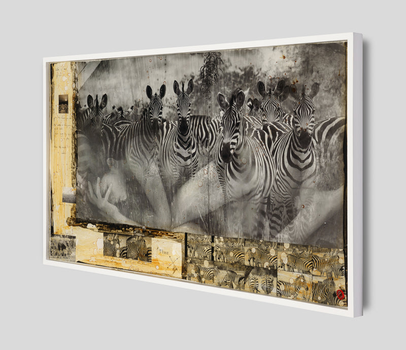 MAZ ORI POR 26889 2 Way Of The Zebra 