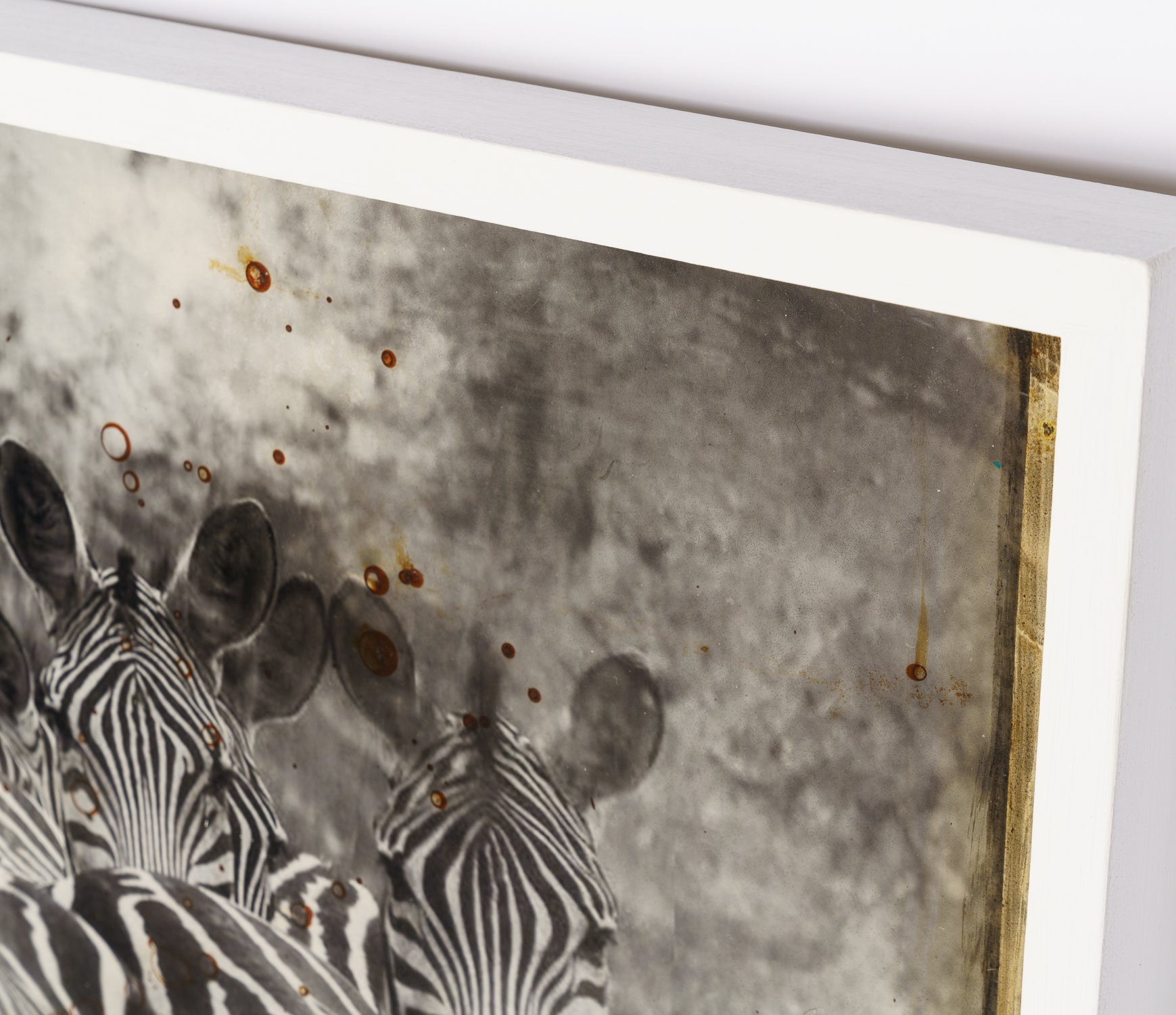 MAZ ORI POR 26889 5 Way Of The Zebra 