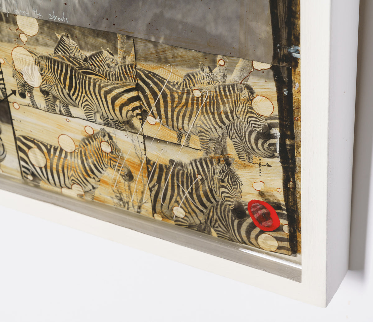 MAZ ORI POR 26889 6 Way Of The Zebra 