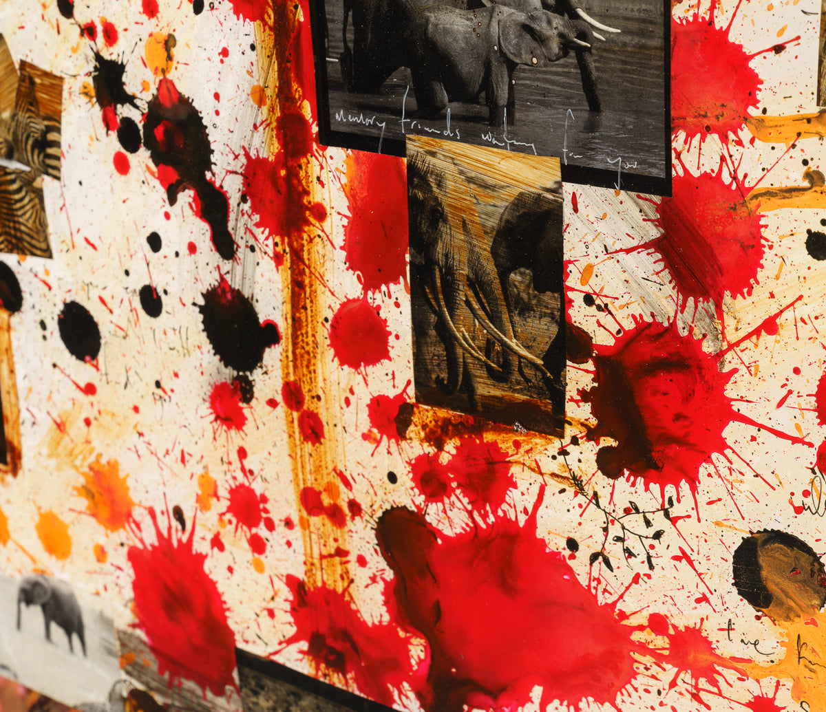 MAZ ORI POR 26890 6 Walk of Life 