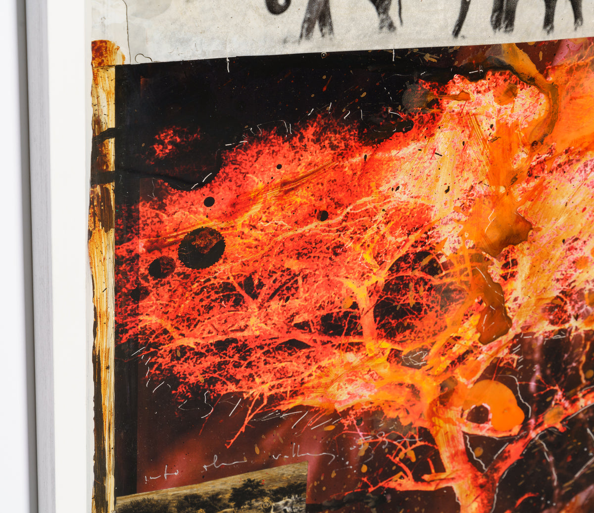 MAZ ORI POR 26890 7 Walk of Life 