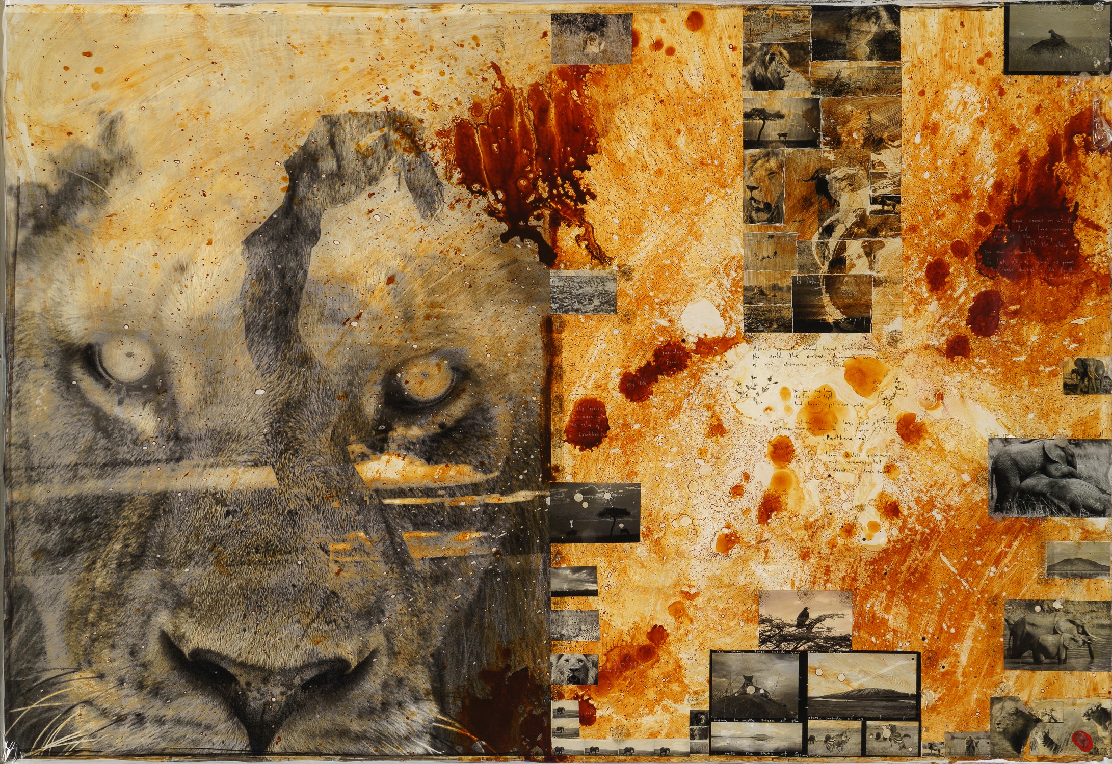 MAZ ORI POR 26894 3 Free Spirit 