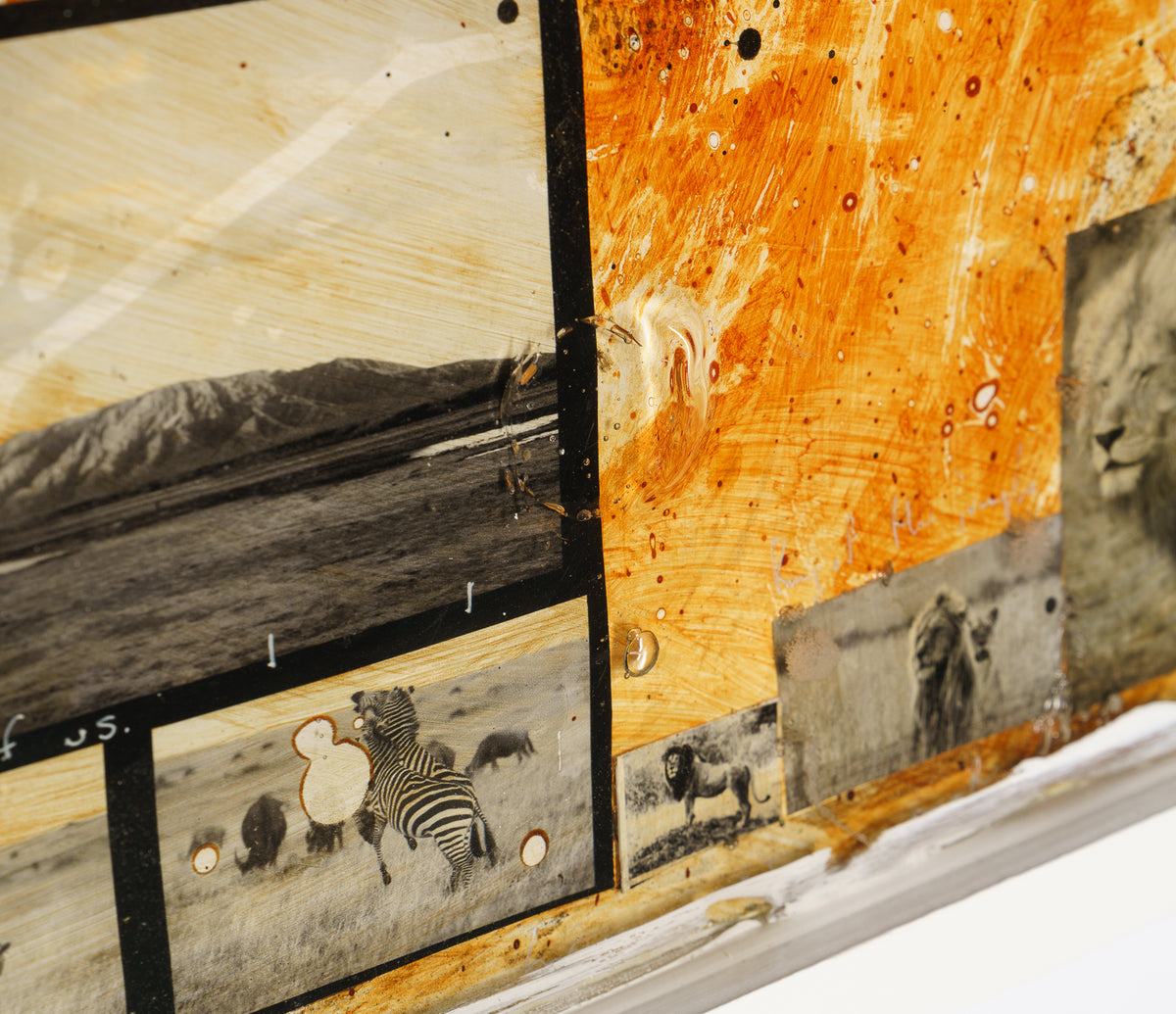 MAZ ORI POR 26894 9 Free Spirit 