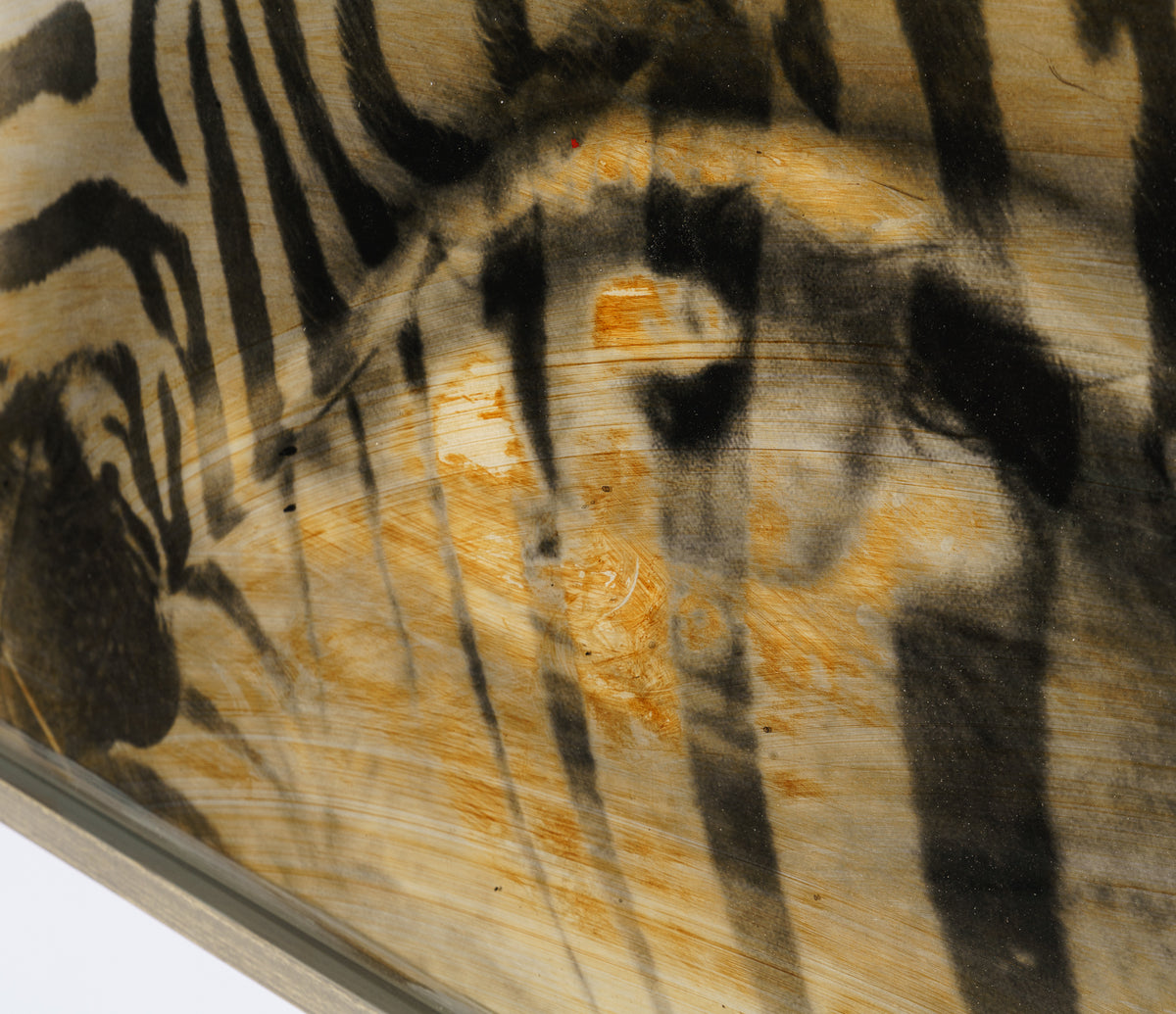 MAZ ORI POR 28234 5 Amani 