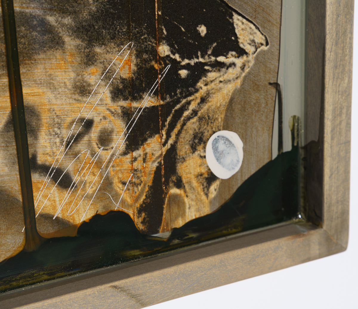 MAZ ORI POR 28238 8 Jangwa Malkia(2) 