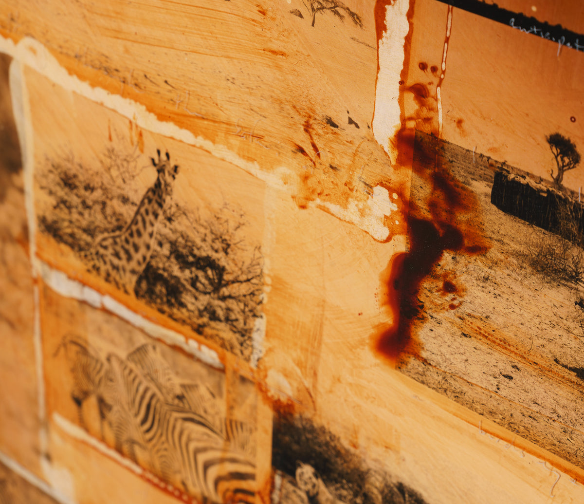 MAZ ORI POR 28239 6 Kolagi 