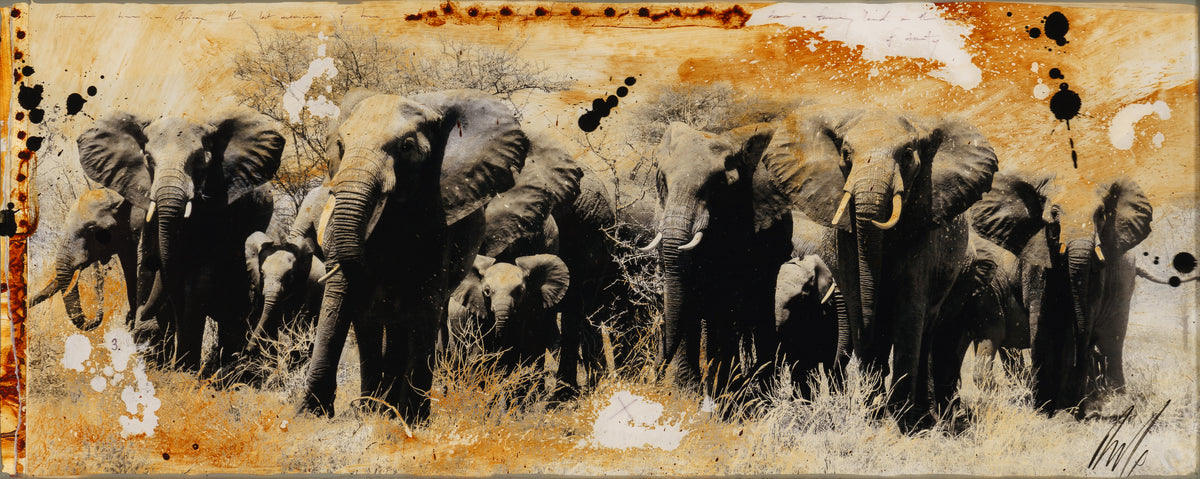 MAZ ORI POR 28242 3 Kuhiji 