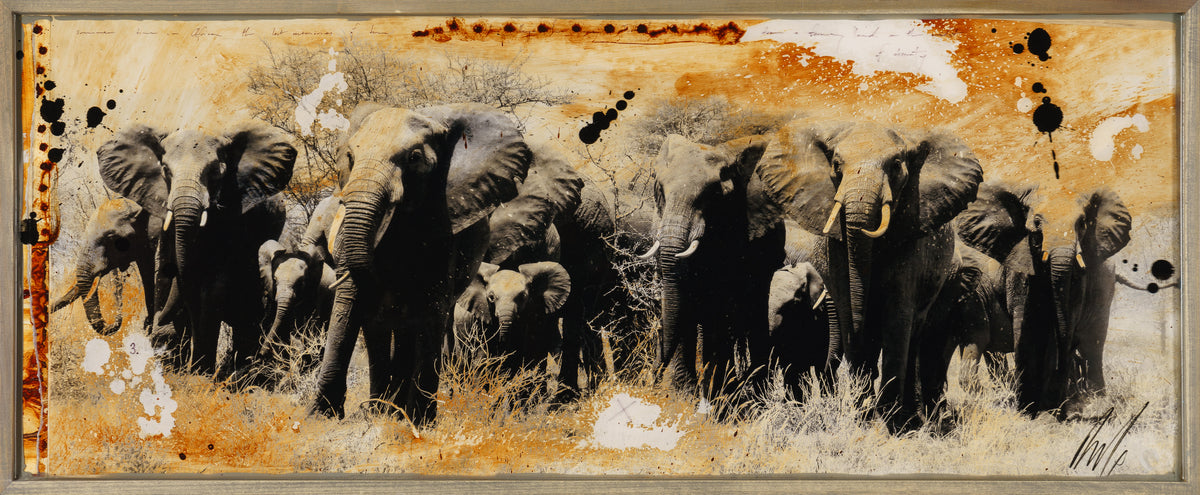 MAZ ORI POR 28242 4 Kuhiji 