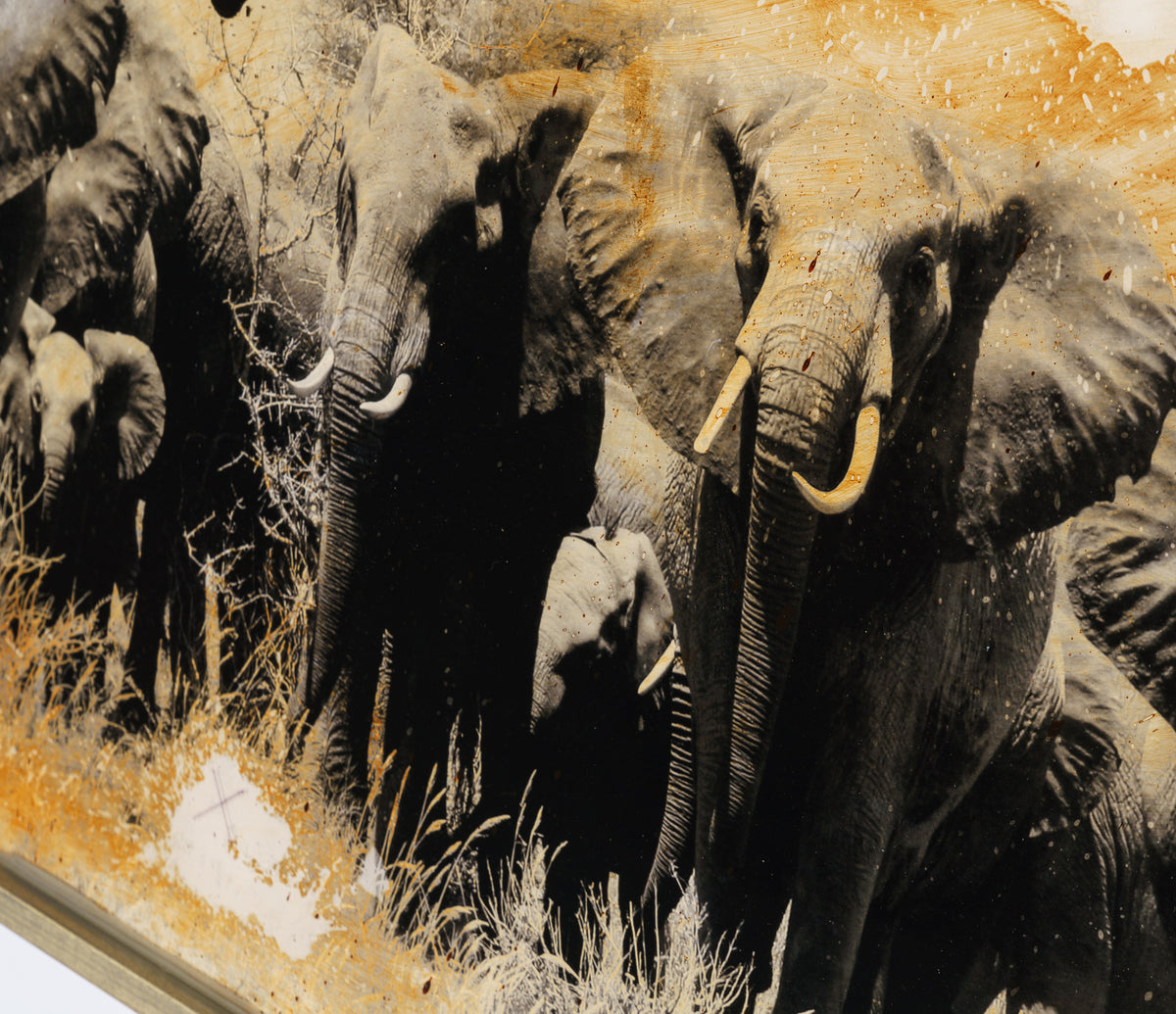 MAZ ORI POR 28242 6 Kuhiji 