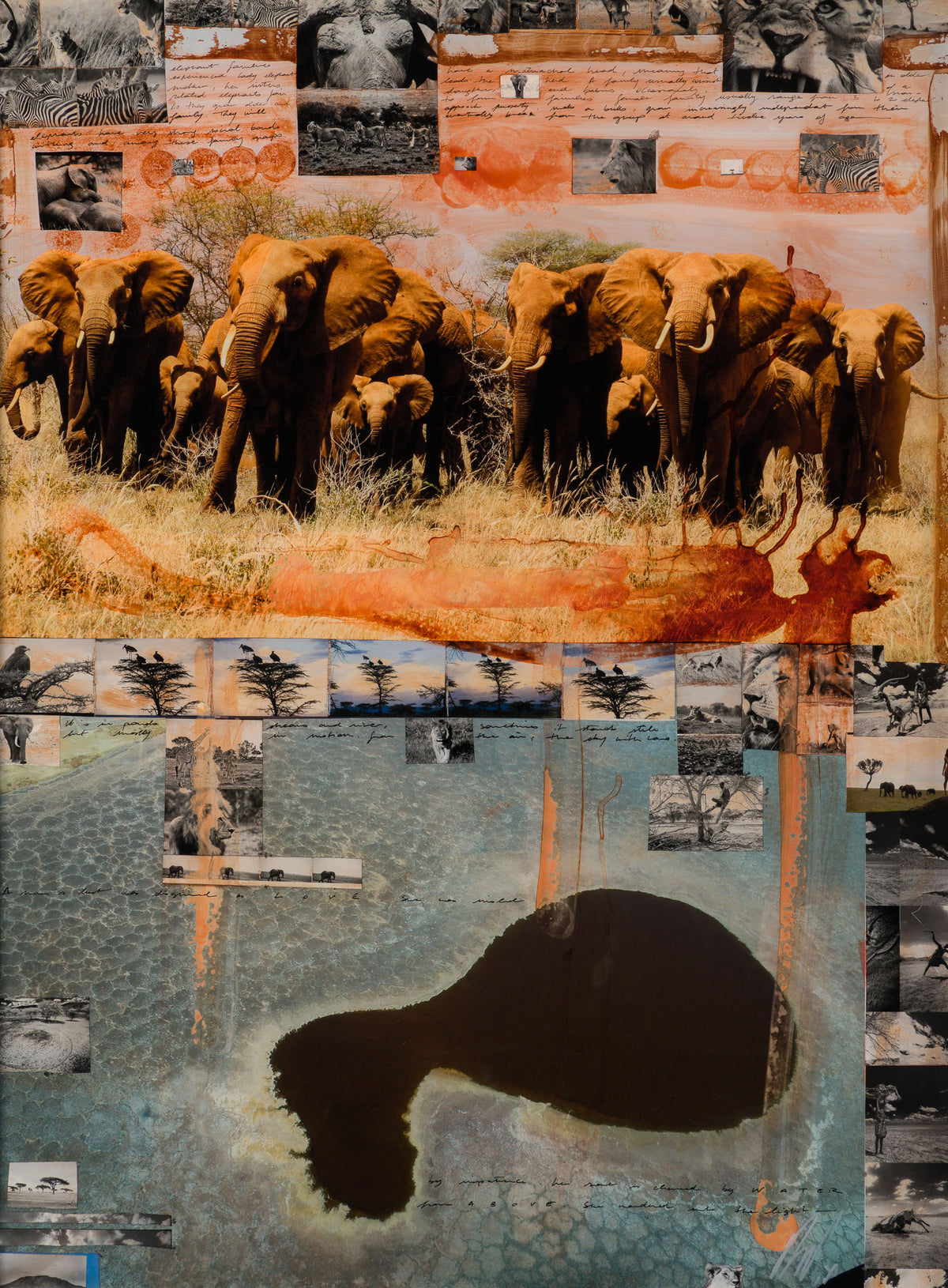 MAZ ORI POR 30618 31 Kutoroka (Escape) 