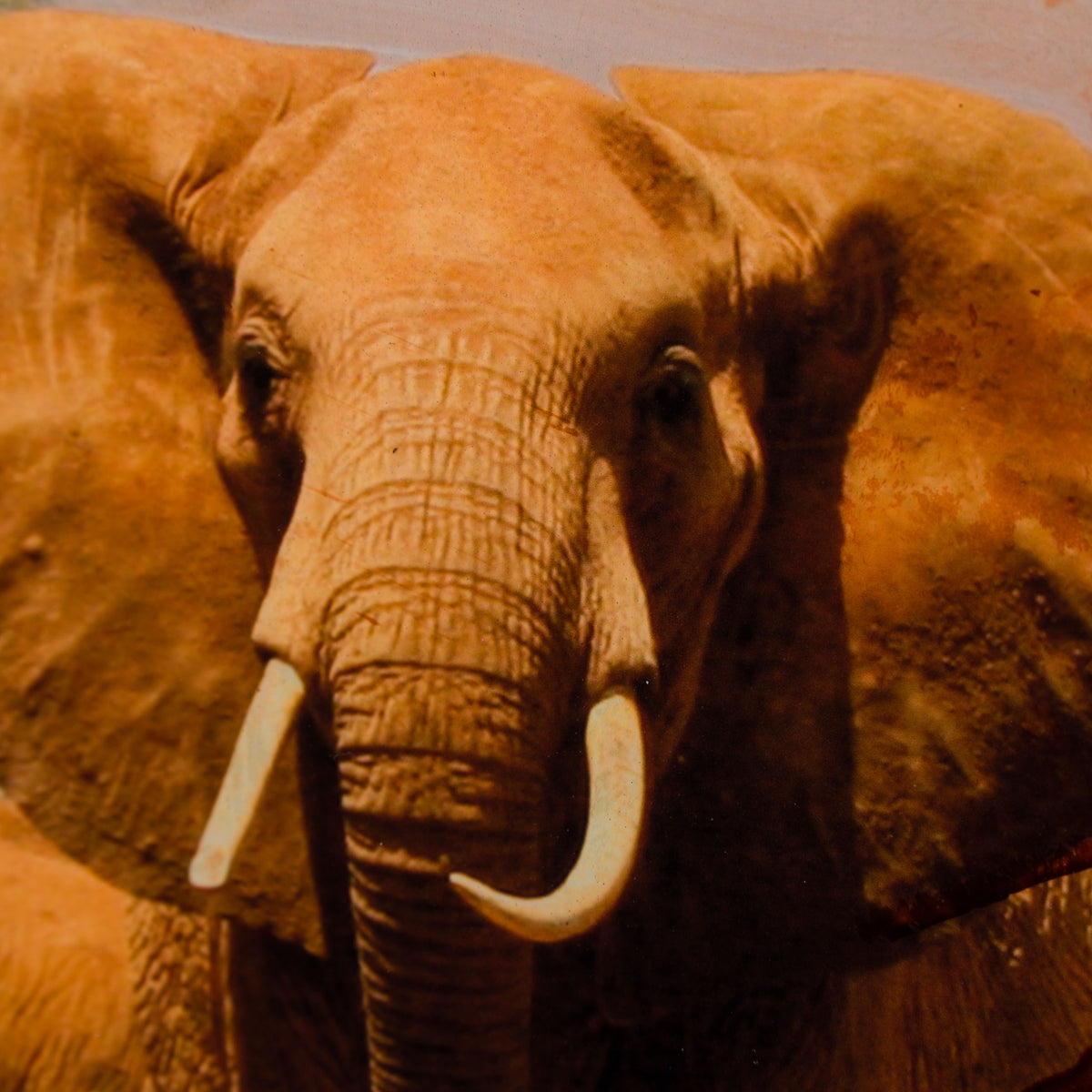 MAZ ORI POR 30618 7 Kutoroka (Escape) 