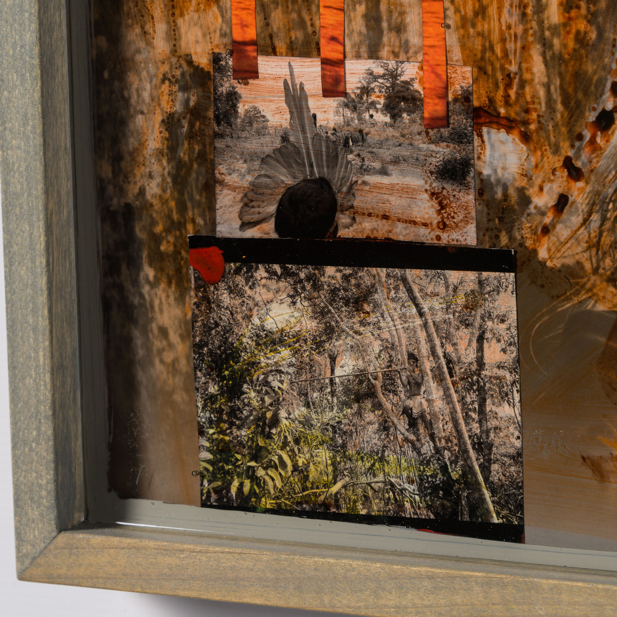 MAZ ORI POR 30620 7 Selva (Jungle) 