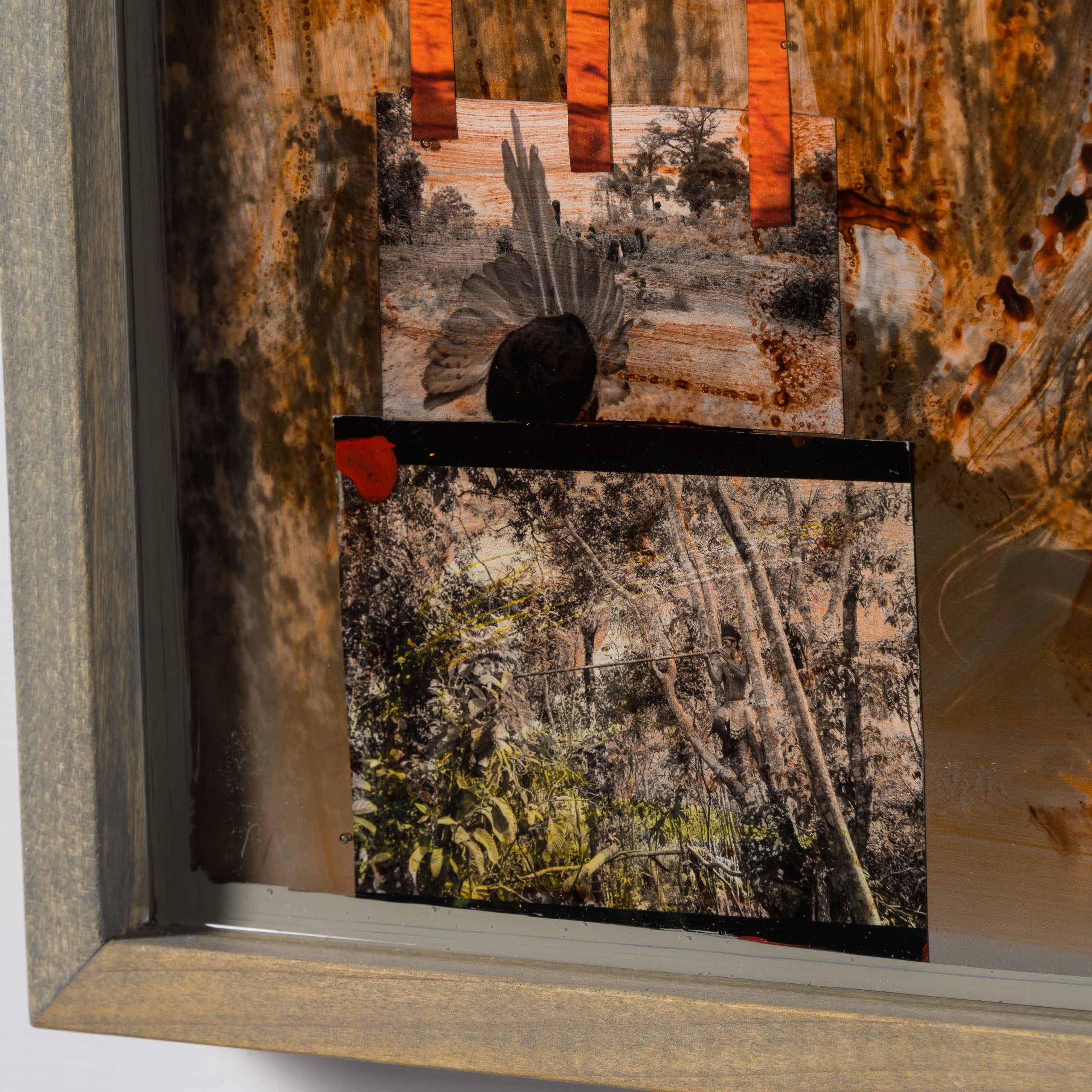 MAZ ORI POR 30620 7 Selva (Jungle) 