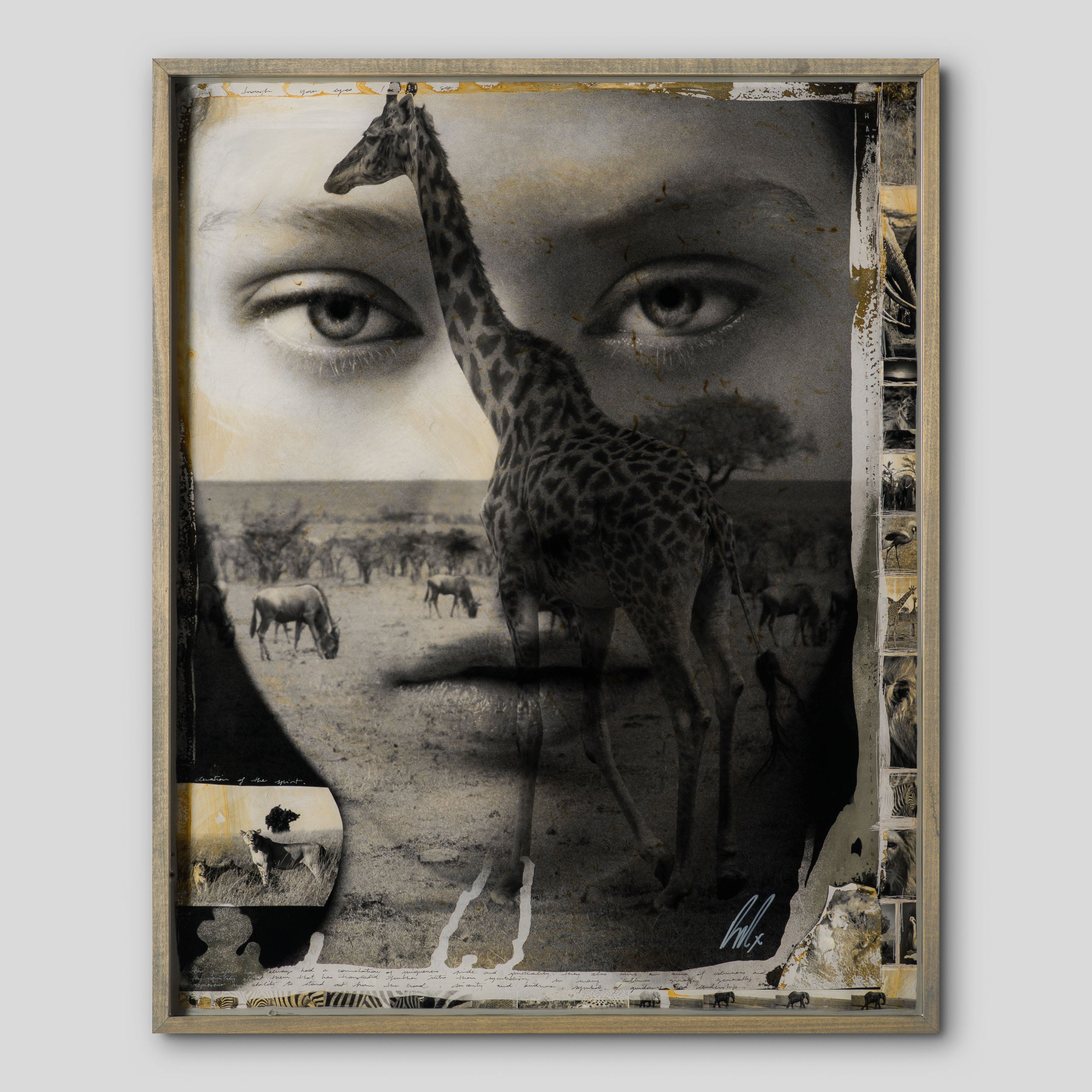 MAZ ORI POR 30624 1 Mwanga (Light) 