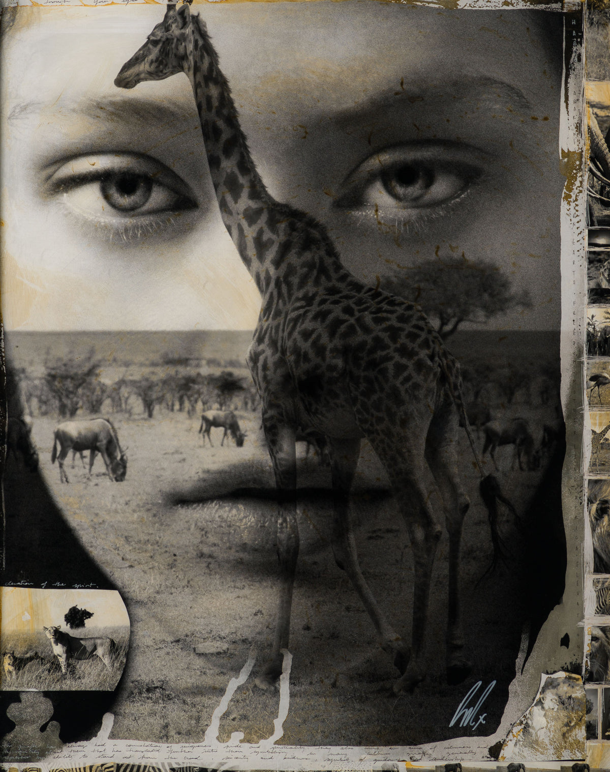 MAZ ORI POR 30624 31 Mwanga (Light) 