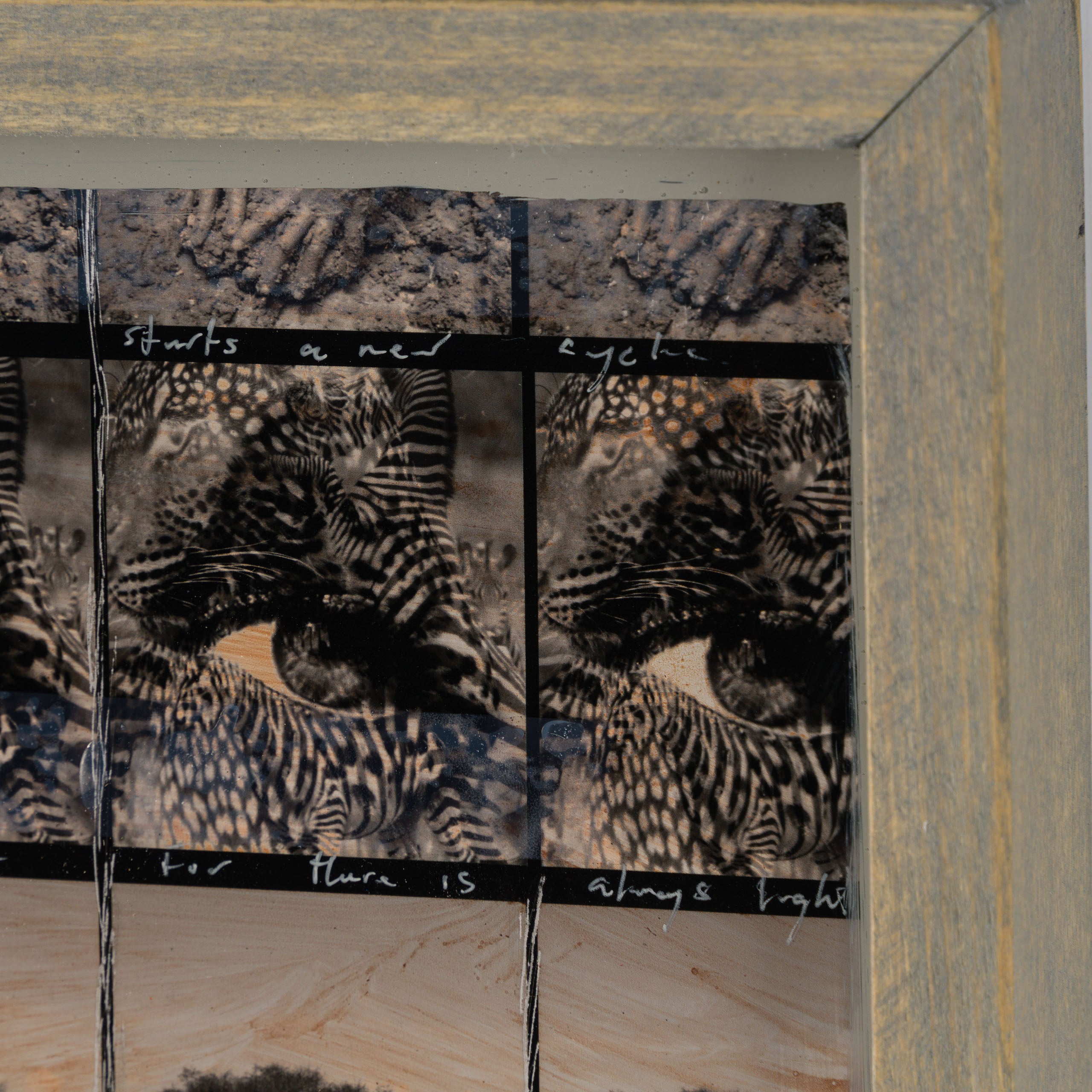 MAZ ORI POR 30626 5 Shahidi (Witness) 