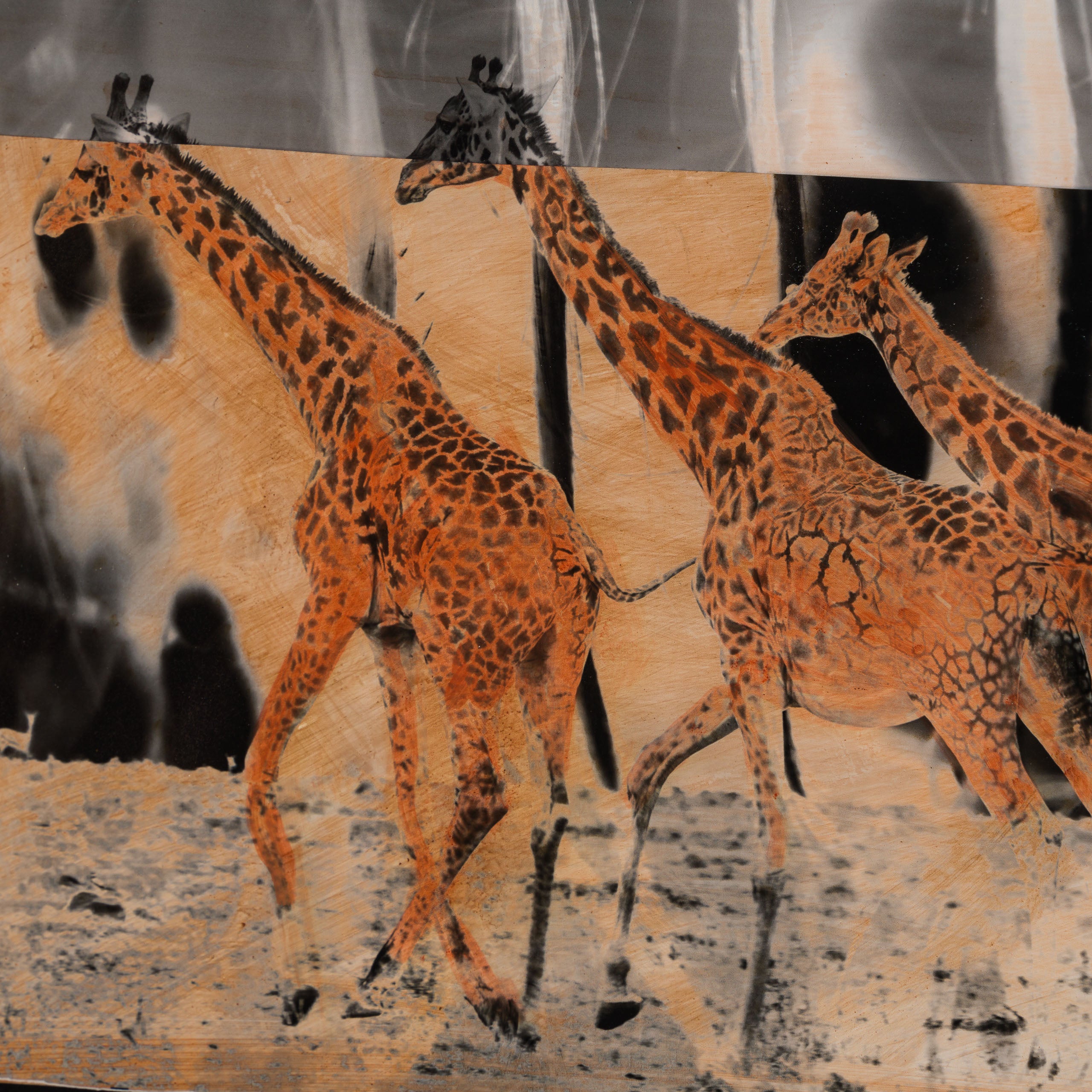 MAZ ORI POR 30626 6 Shahidi (Witness) 