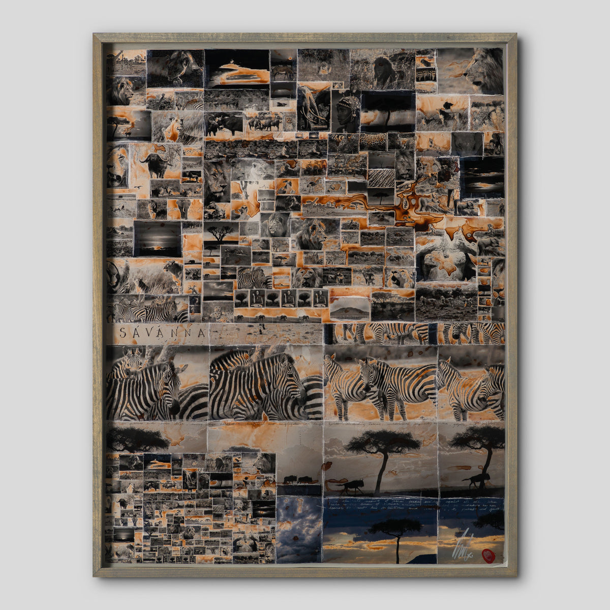 MAZ ORI POR 30630 1 Kuhama (Migrate) 