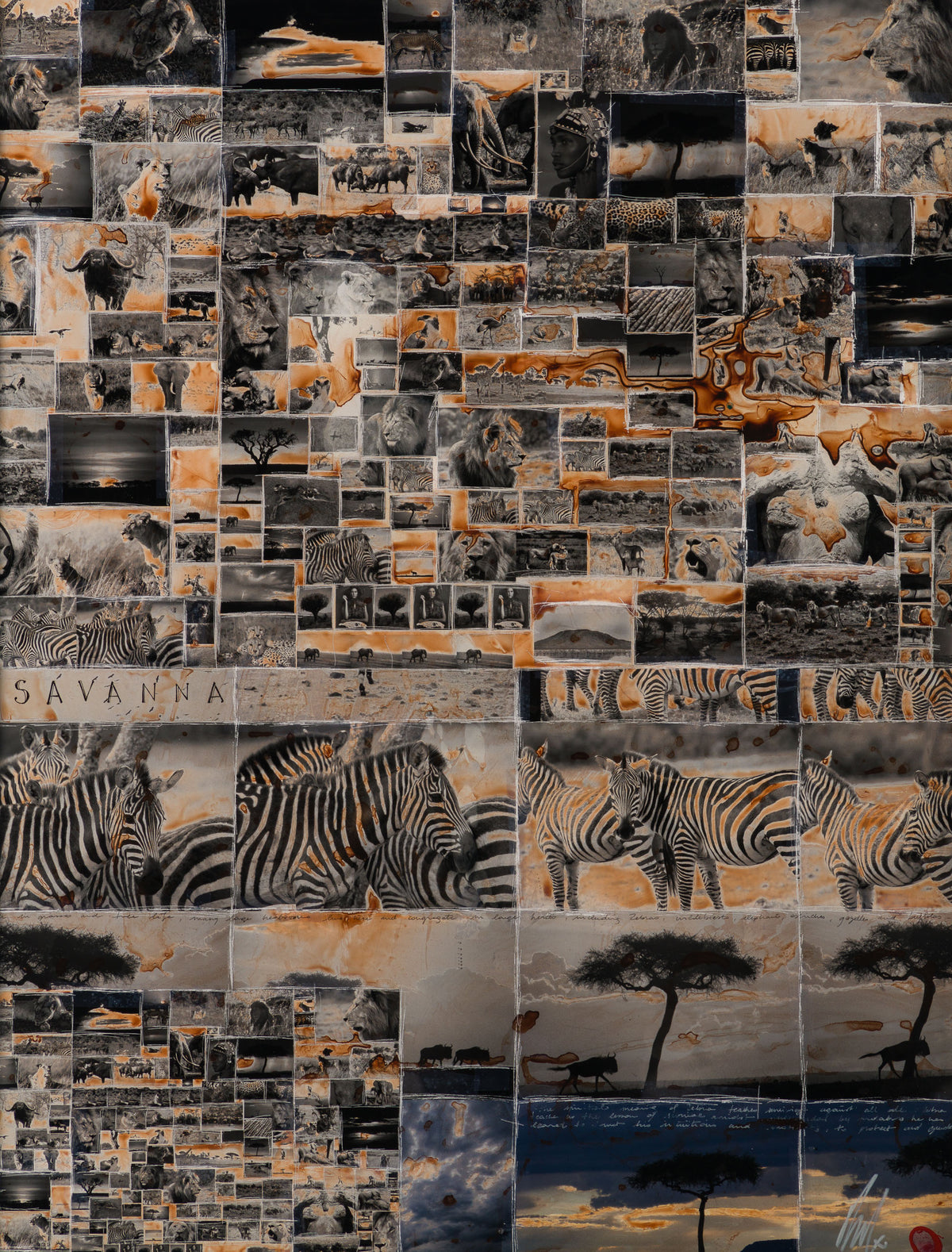 MAZ ORI POR 30630 31 Kuhama (Migrate) 