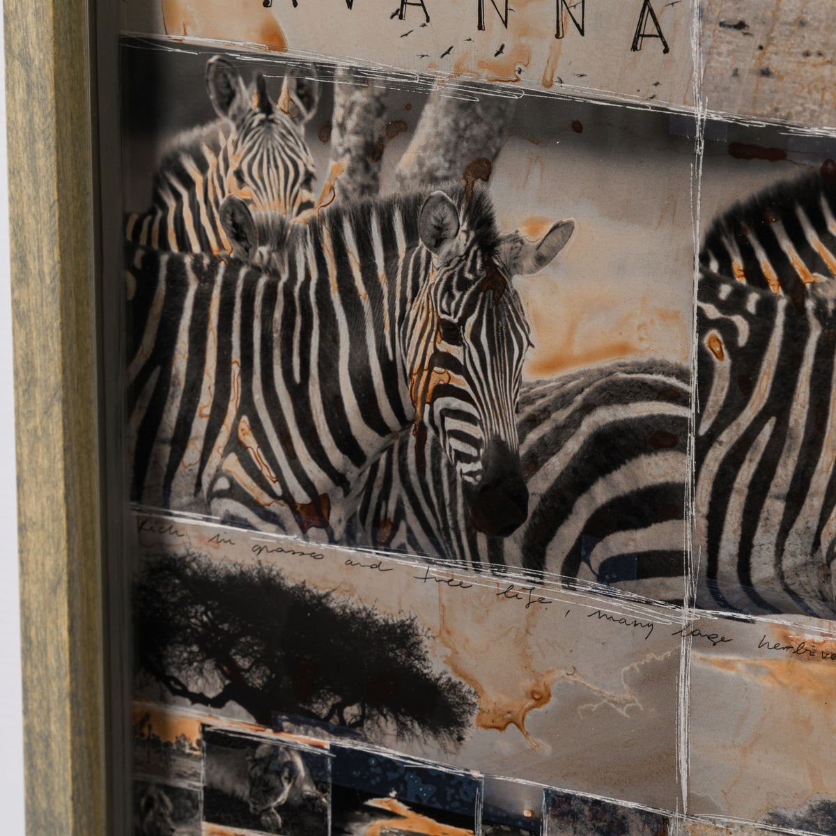 MAZ ORI POR 30630 6 Kuhama (Migrate) 