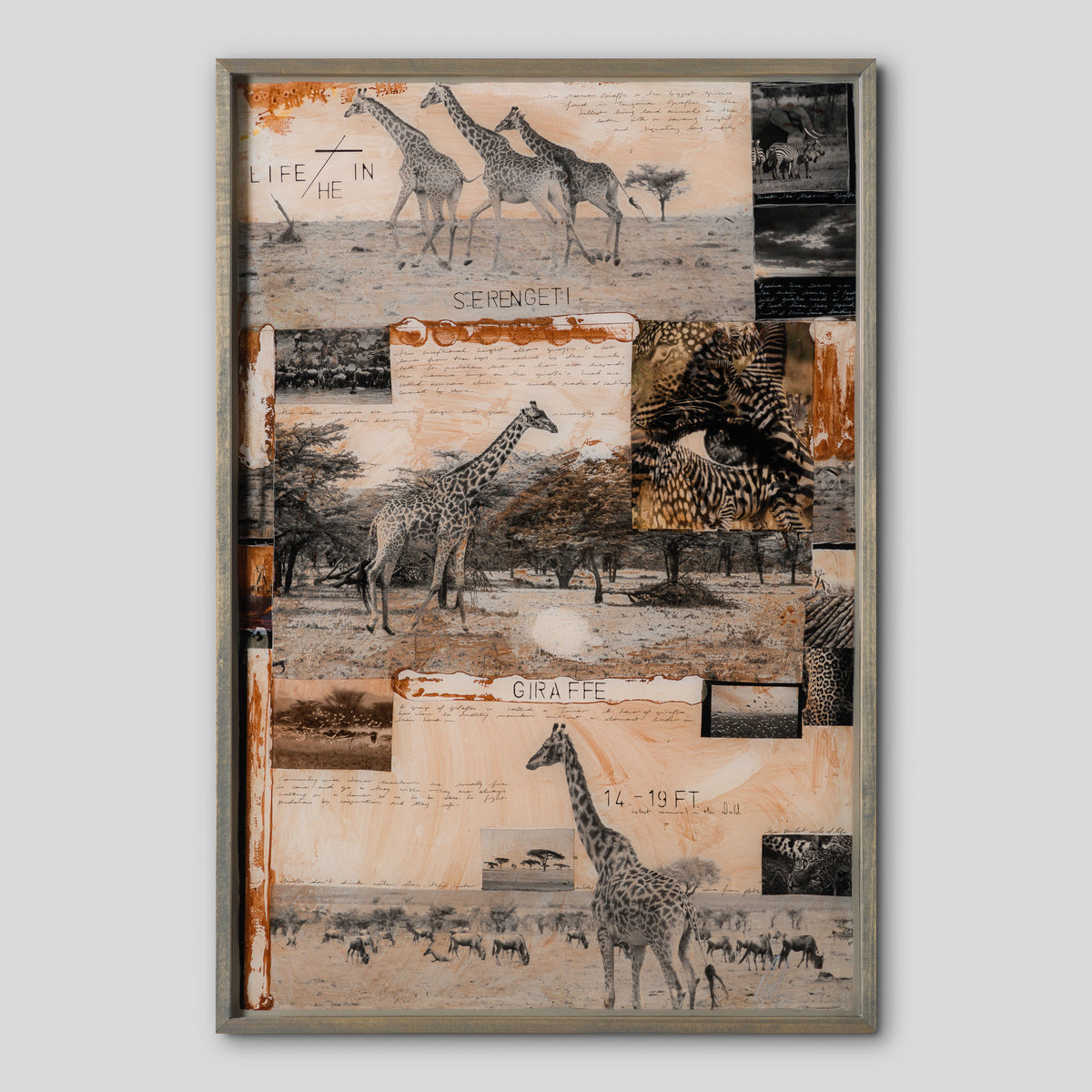 MAZ ORI POR 30634 1 Serengeti 