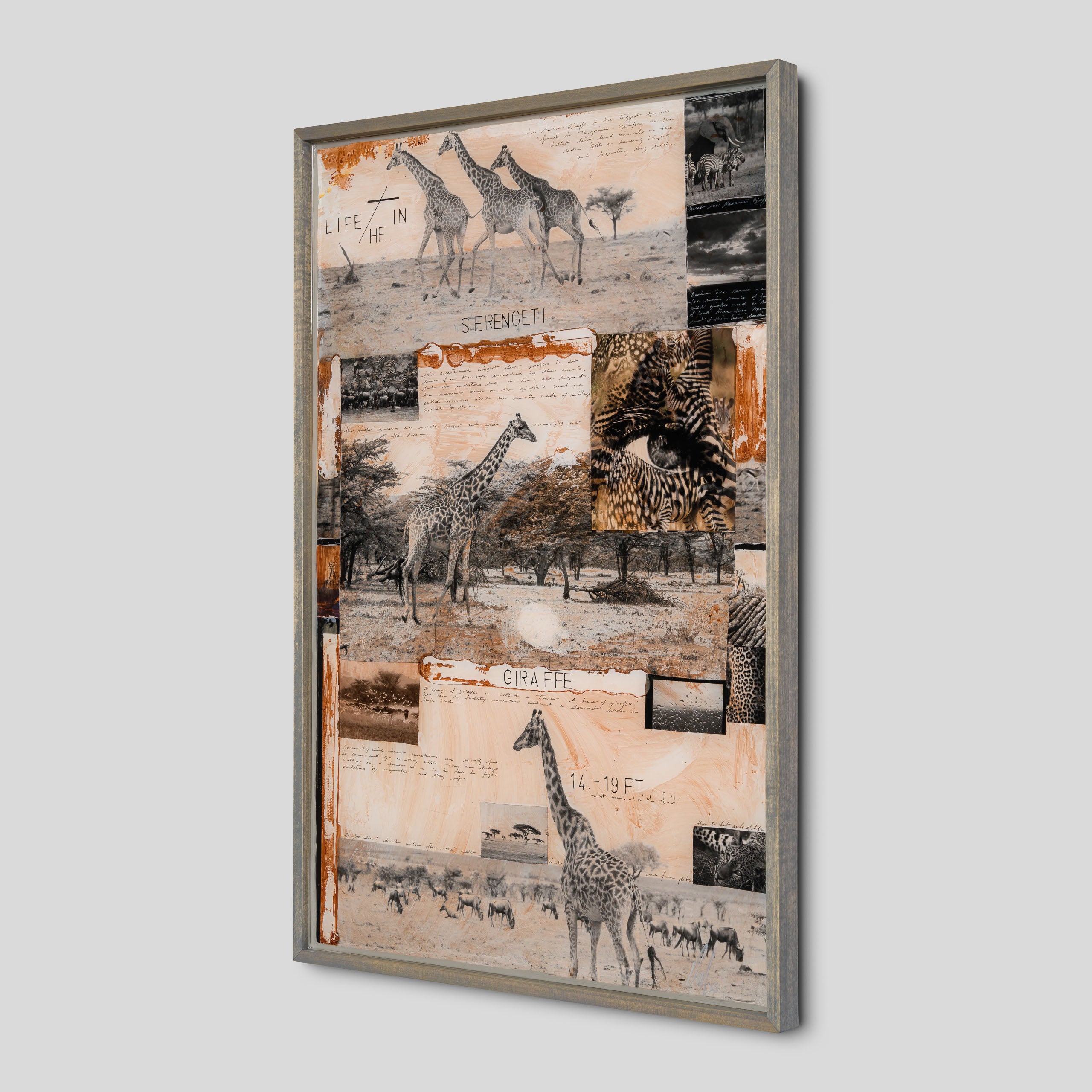 MAZ ORI POR 30634 2 Serengeti 