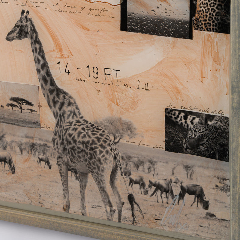 MAZ ORI POR 30634 6 Serengeti 