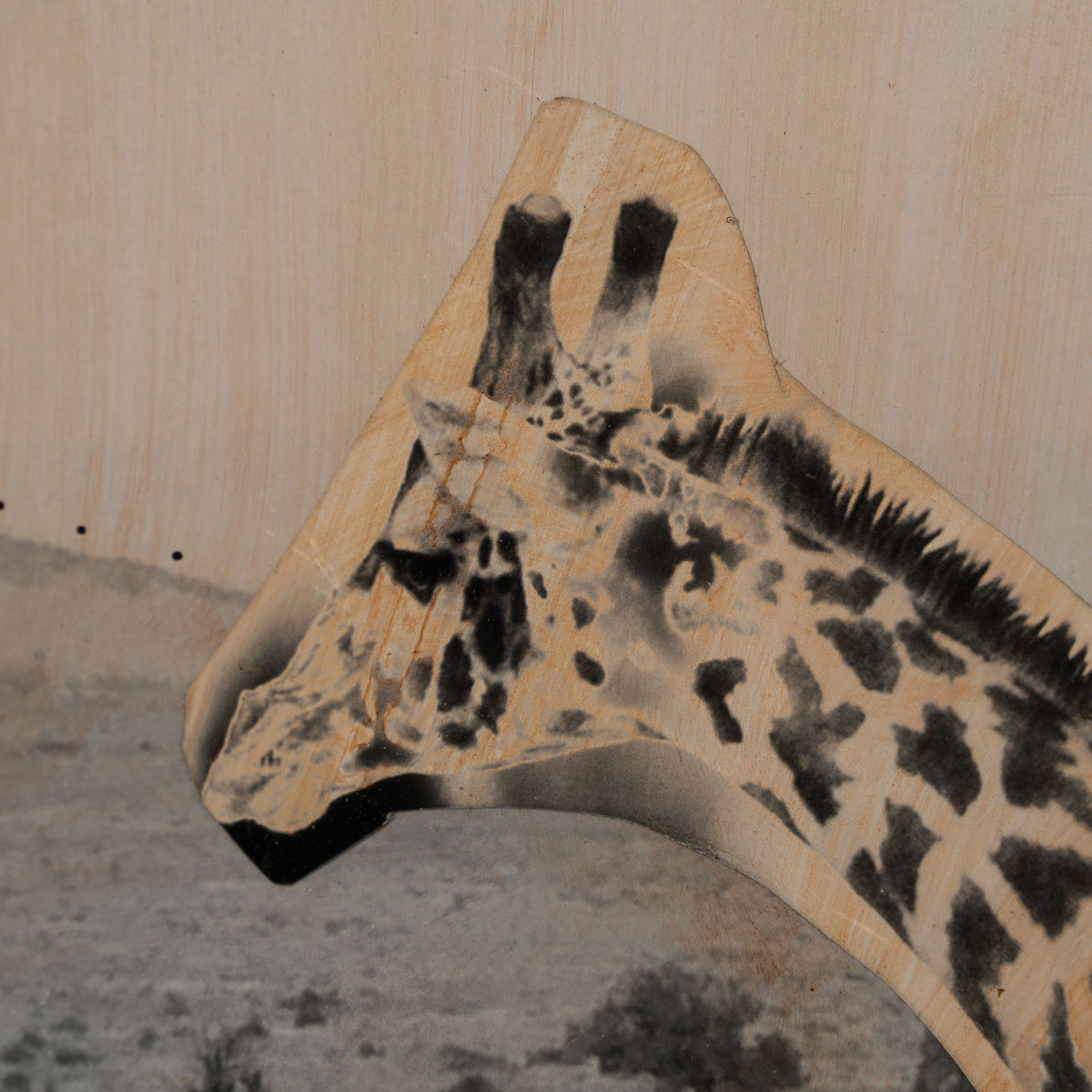 MAZ ORI POR 30636 4 Heri (Blessed) 