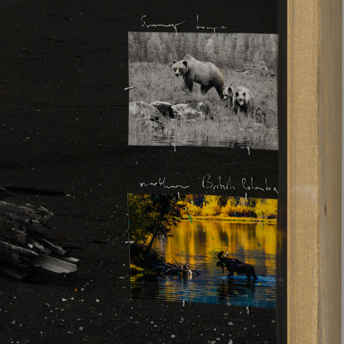 MAZ ORI POR 32908 Dusty Echoes 6 