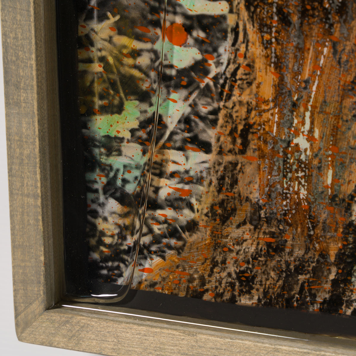 MAZ ORI POR 32911 Fawned Maiden 5 