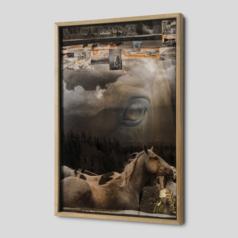 MAZ ORI POR 32912 Guide Me Home 2 