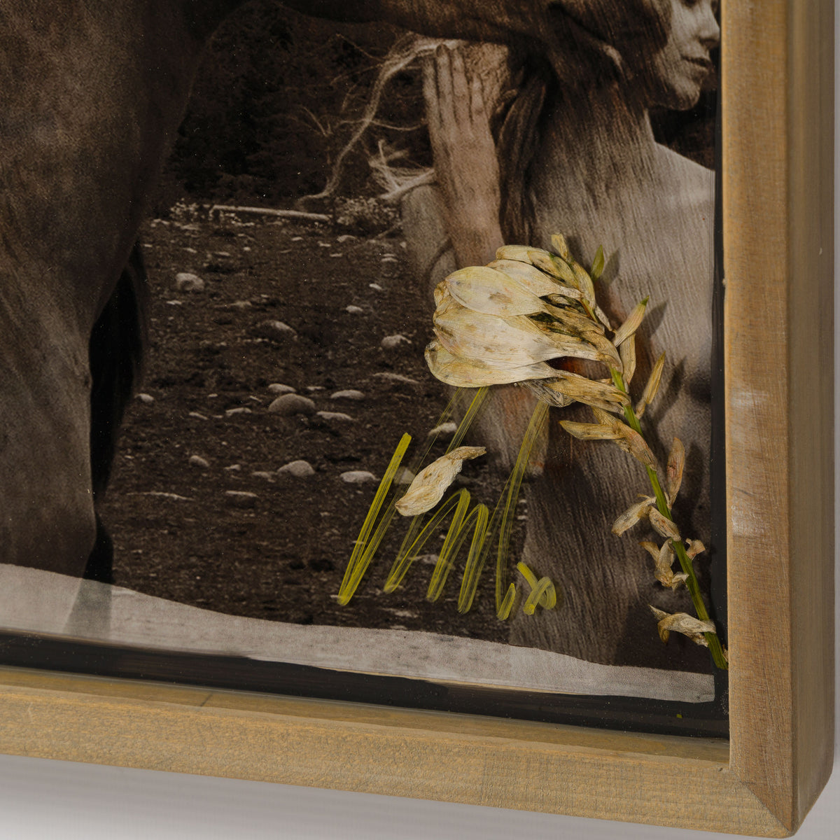 Product image 1 for raphael-mazzucco-guide-me-home-original