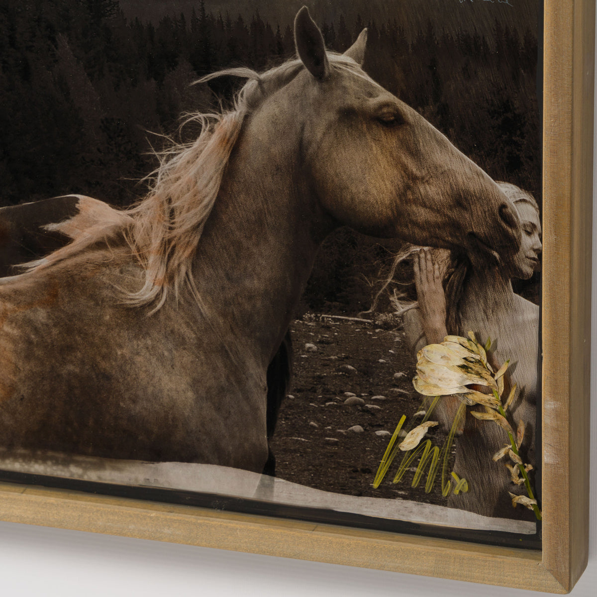 MAZ ORI POR 32912 Guide Me Home 4 