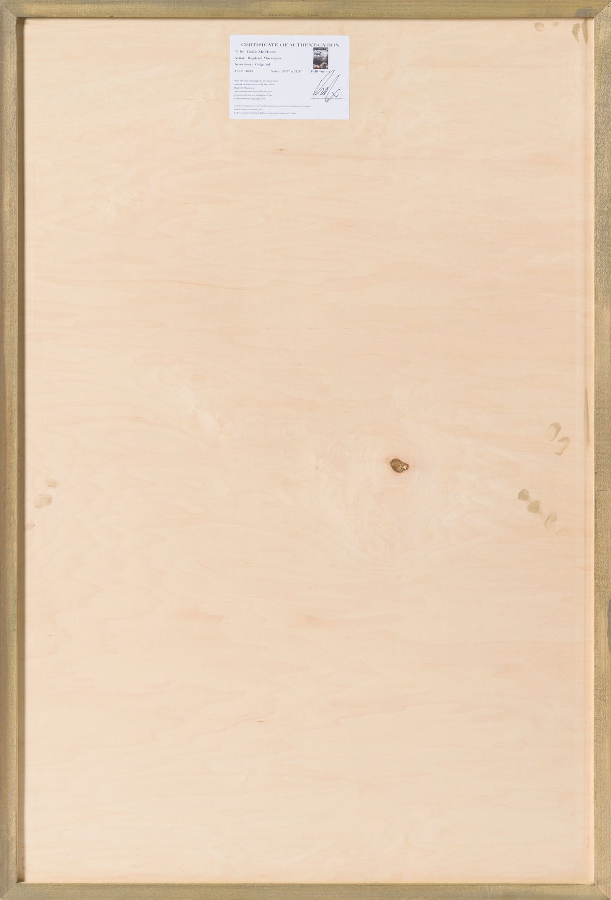 Product image 3 for raphael-mazzucco-guide-me-home-original