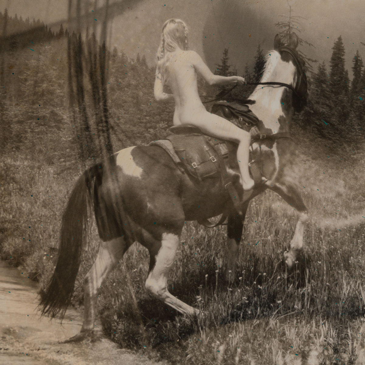 Product image 2 for raphael-mazzucco-homeward-bound-original