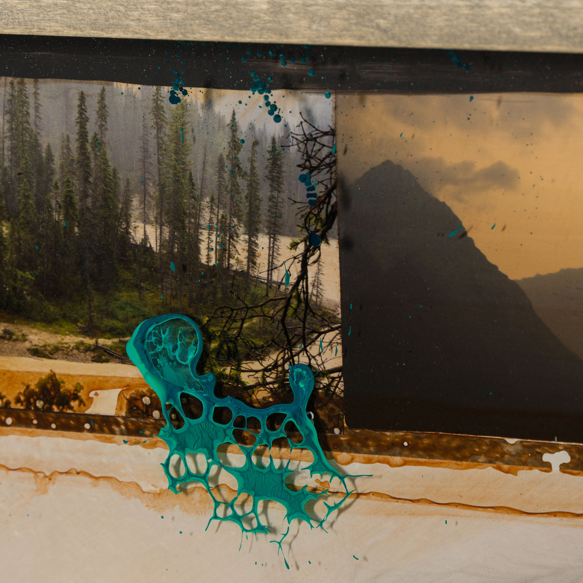 MAZ ORI POR 32913 Homeward Bound 6 