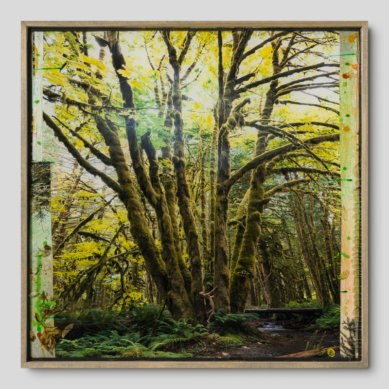 MAZ ORI POR 32916 Mossy Abandon 1 