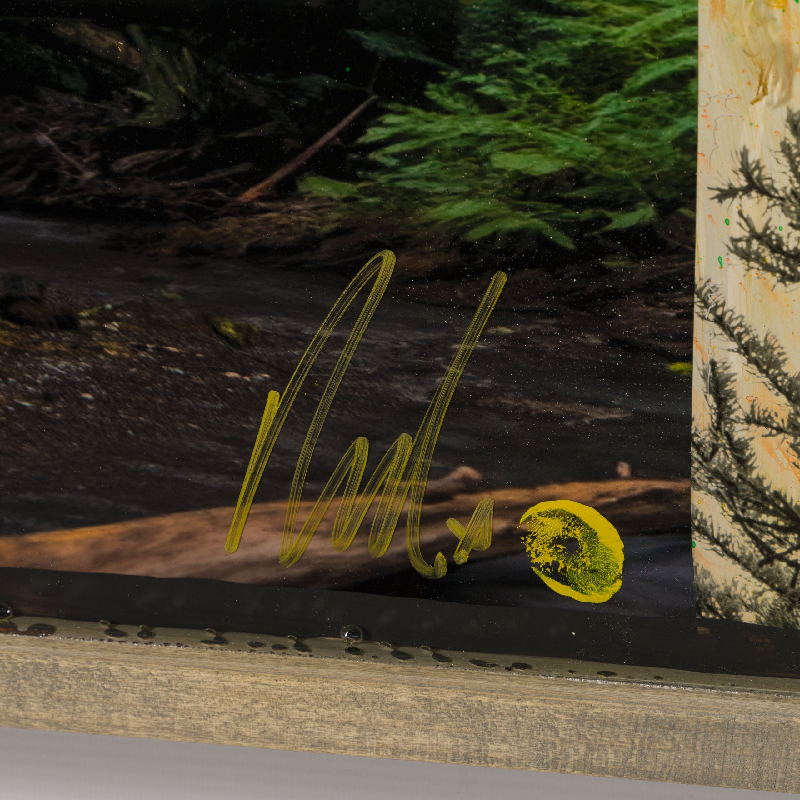 Product image 1 for raphael-mazzucco-mossy-abandon-original